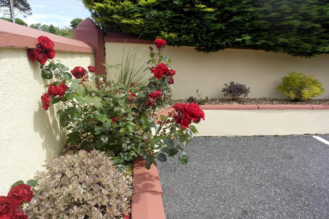 Seacourt Accommodation Tramore - Adult Only 외부 사진